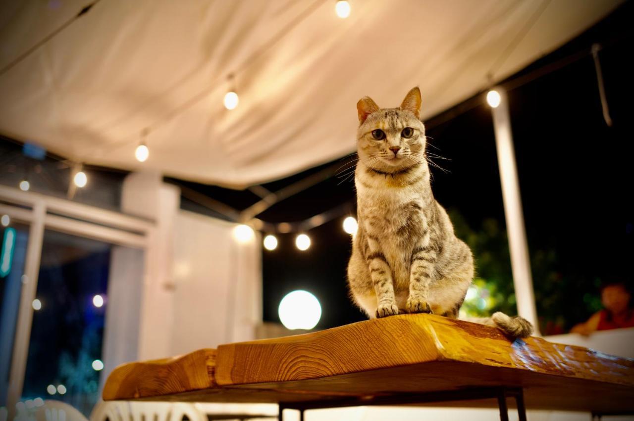It'S Mine Hostel Taitung Экстерьер фото
